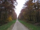 GR 3B, forêt d'Orléans
